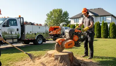 Professional stump grinding service in Thornton, CO by Chop Chop Tree experts