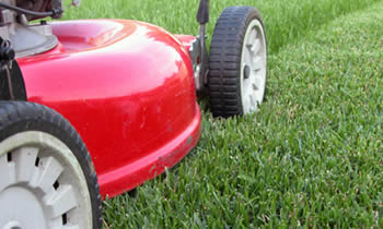 Lawn Care in Thornton CO Lawn Care Services in Thornton CO Quality Lawn Care in Thornton CO